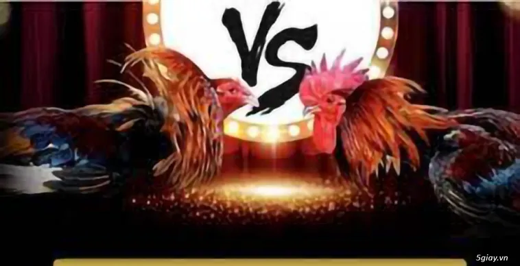 Đá Gà Asia99 Sân Chơi Đỉnh Cao Trải Nghiệm Cá Cược Uy Tín