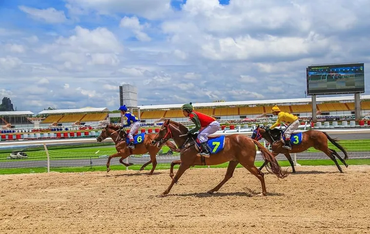 Khám Phá Đua Ngựa Asia99 Đặt Cược Thông Minh Rinh Thưởng Lớn 2 Khám Phá Đua Ngựa Asia99 Đặt Cược Thông Minh Rinh Thưởng Lớn