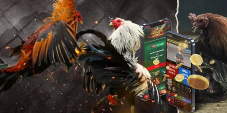 Hướng Dẫn Cách Chơi Đá Gà GA28 Tại Asia99 Từ Cơ Bản Đến Nâng Cao